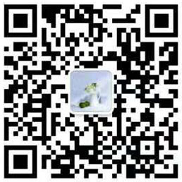 Wechat QR code Wechat QR code
